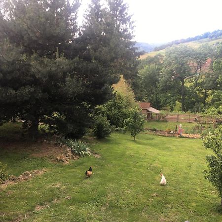 Gites De Gobertier Saint-Alban-d'Ay Kültér fotó