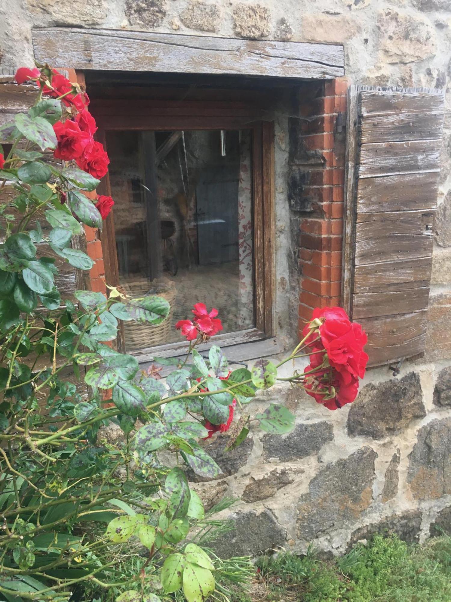 Gites De Gobertier Saint-Alban-d'Ay Kültér fotó